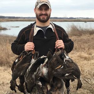 Meet your Posher, Robert